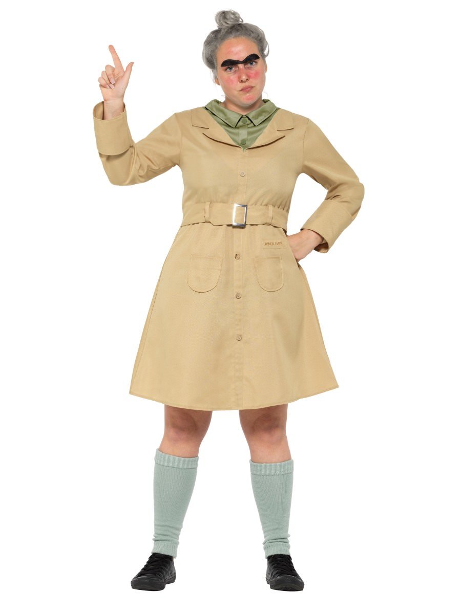 Ms Trunchbull costume from Matilda