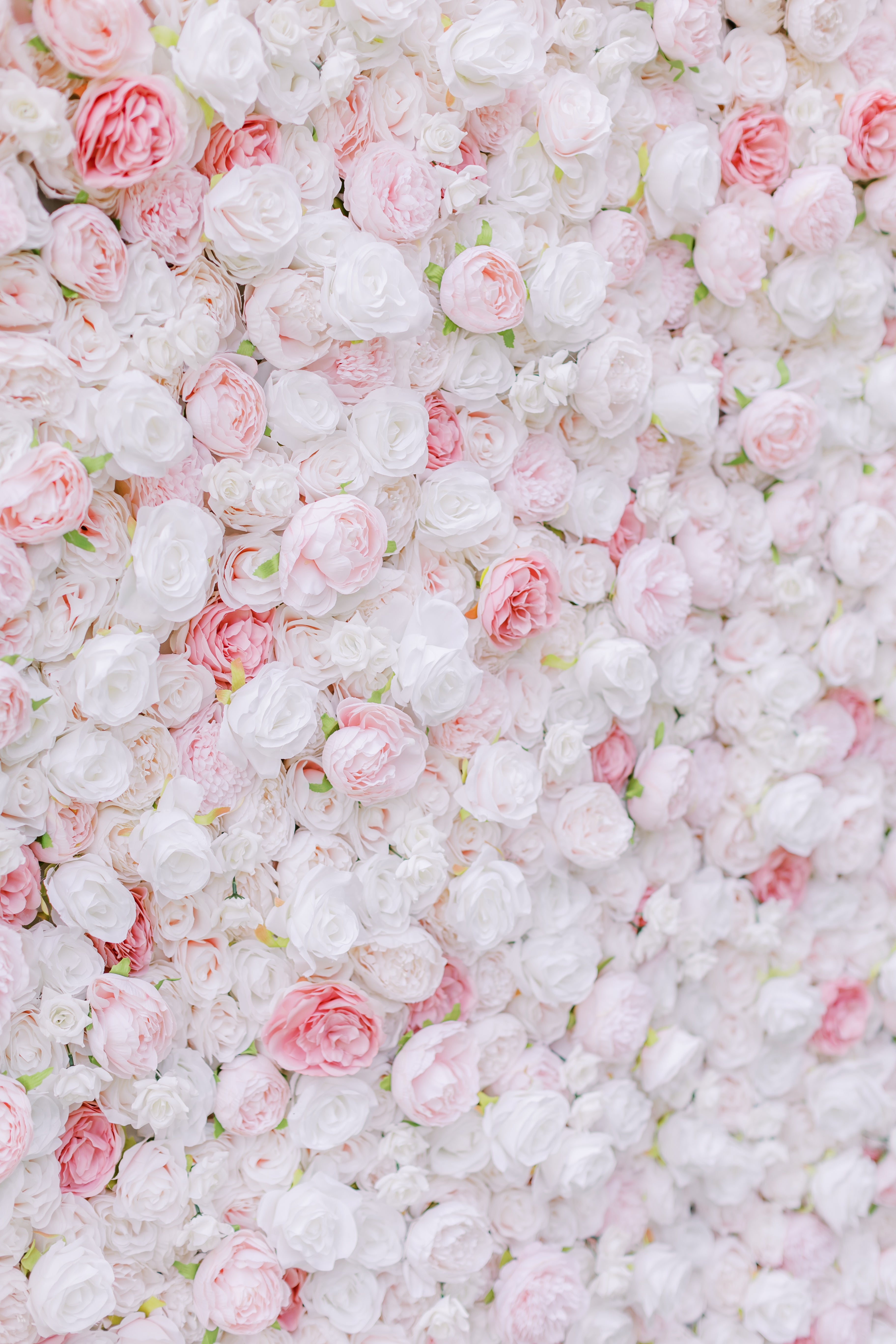Flower Wall - Venetian Pink (4x8) – Wedding Flowers For Rent