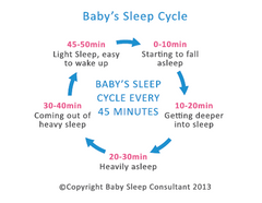 Infant Sleep Cycles Chart