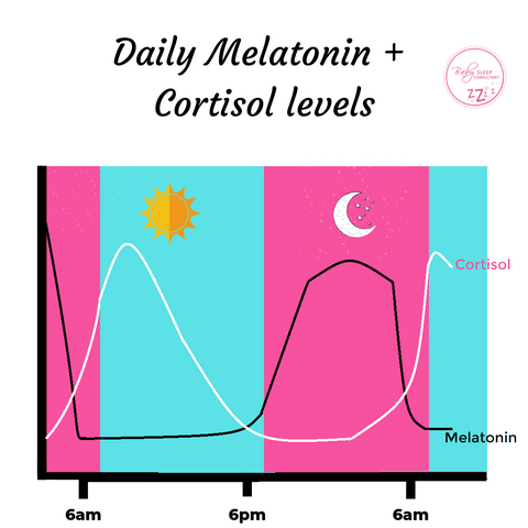 melatonin cortisol cycle 24 hours