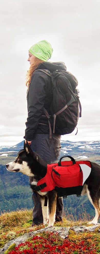 dog backpack harness