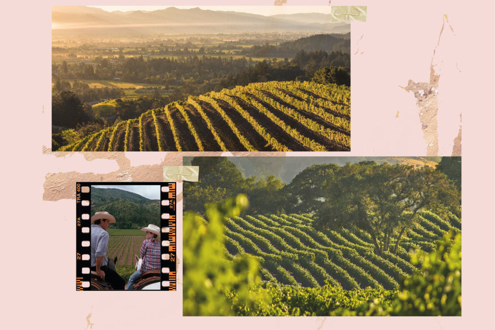 Pelicula de Parent Tramp que fue rodada en los Valles de Napa en California, junto a imagenes del Valle de Napa en California, Viñedos 