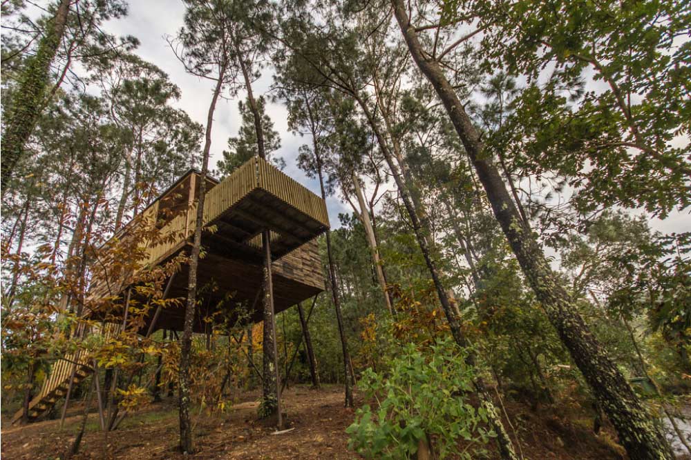 Cabañitas del Bosque