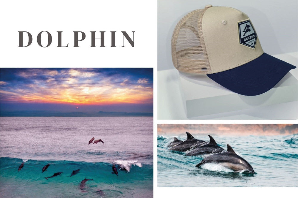 Gorras Hanukeii Dolphin 