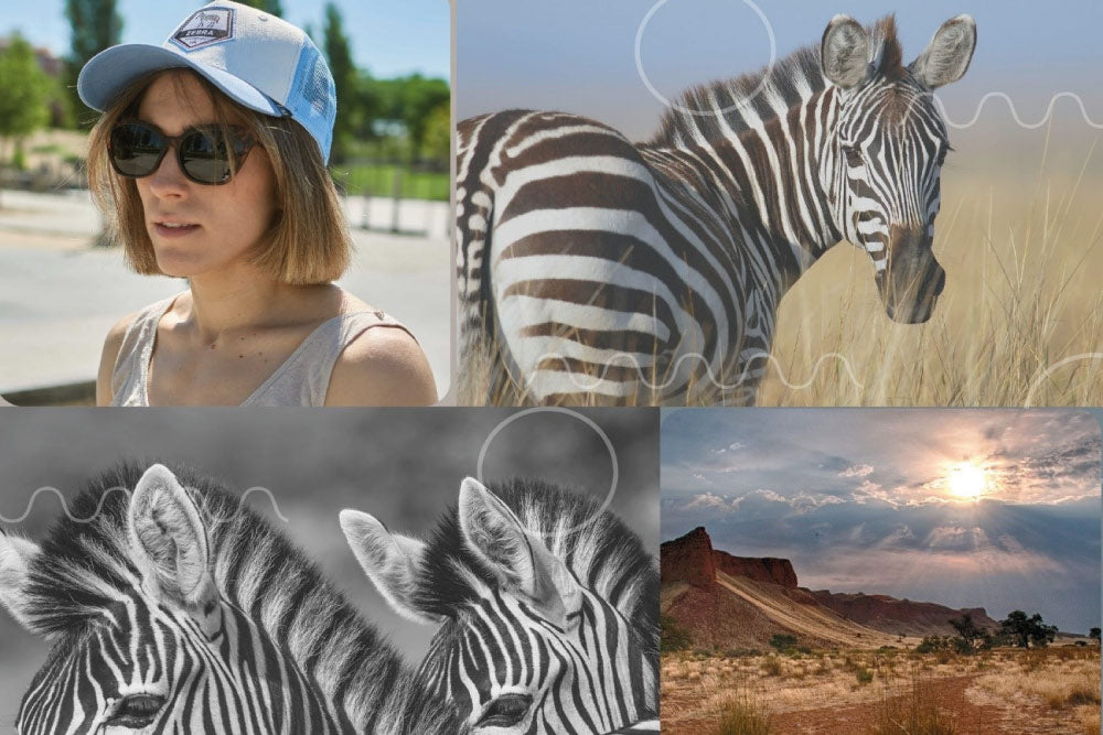 Gorra zebra - Hanukeii 