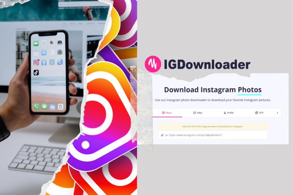 IG DOWNLOADER