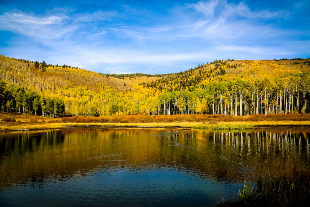 Paisaje Aspen en verano