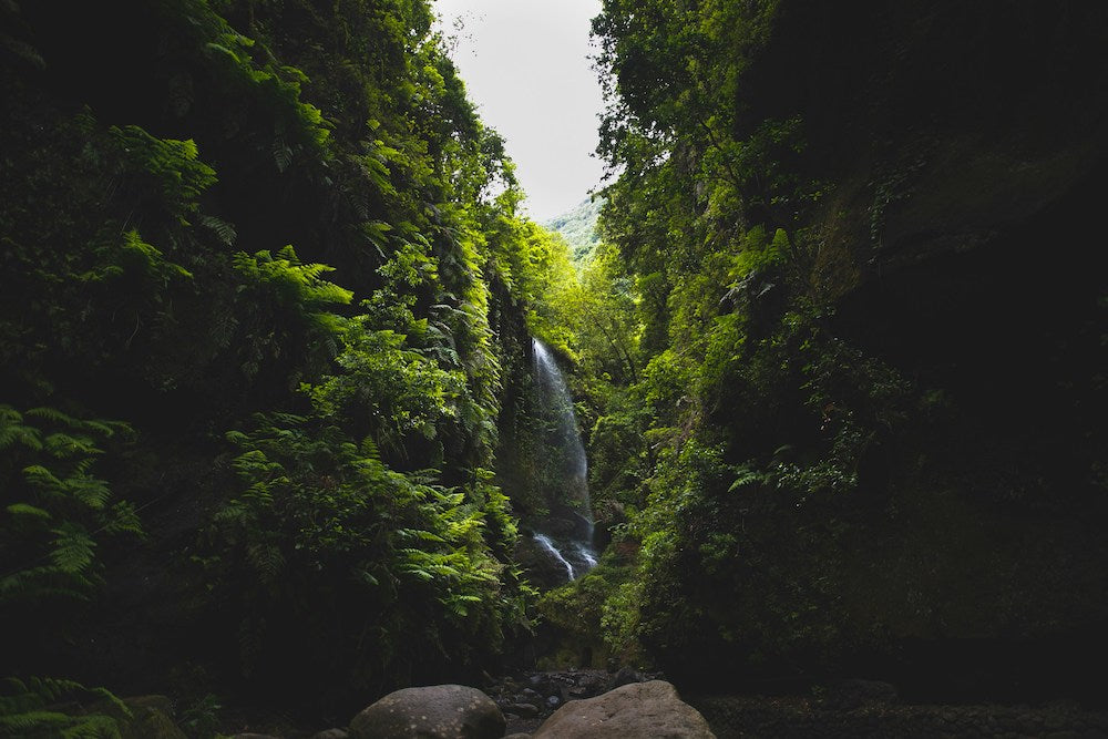 La Palma, Canarias