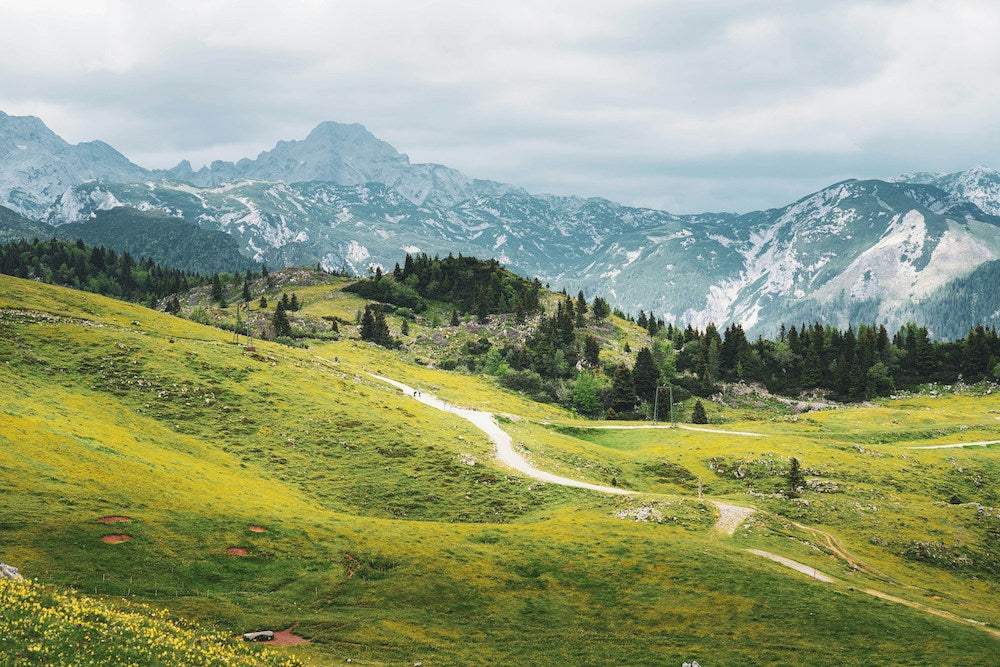 Sendero para ciclismo en Aspen