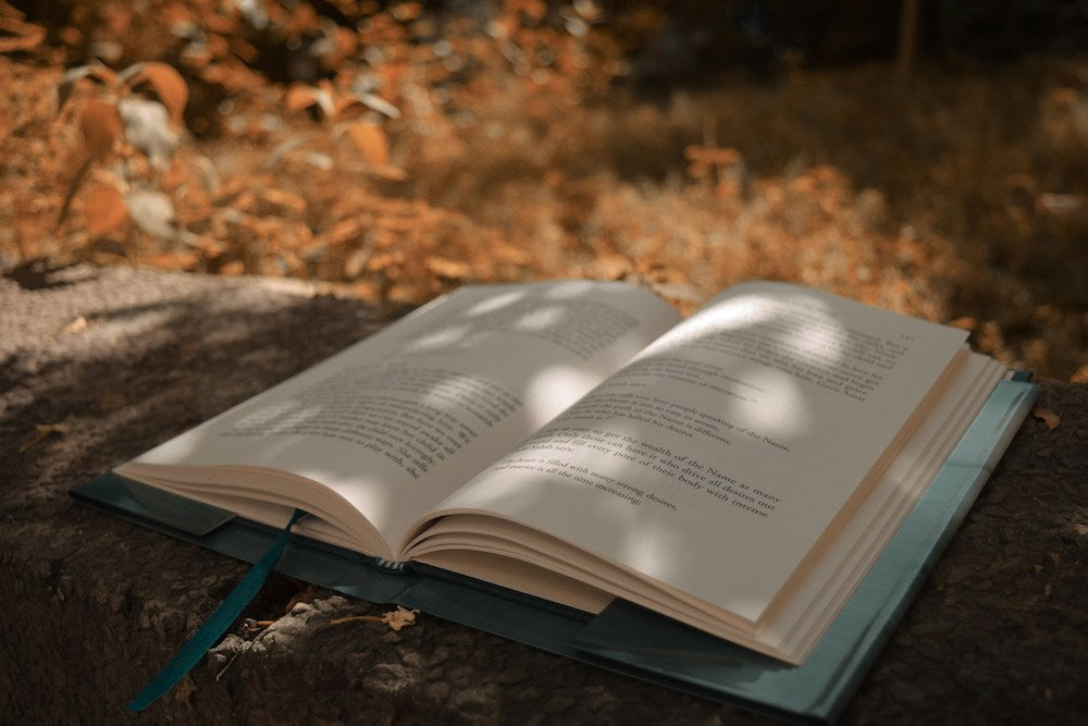 Libro en mesa otoño