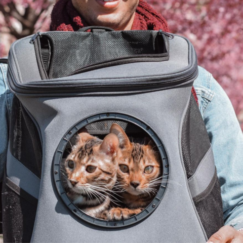 sac transport chats
