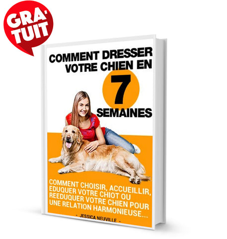 Comment dresser son chien