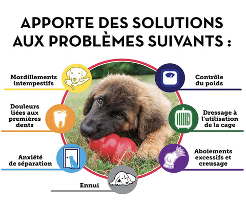 Jouet pour chien très solide Kong