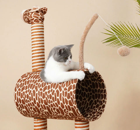 arbre pour chat