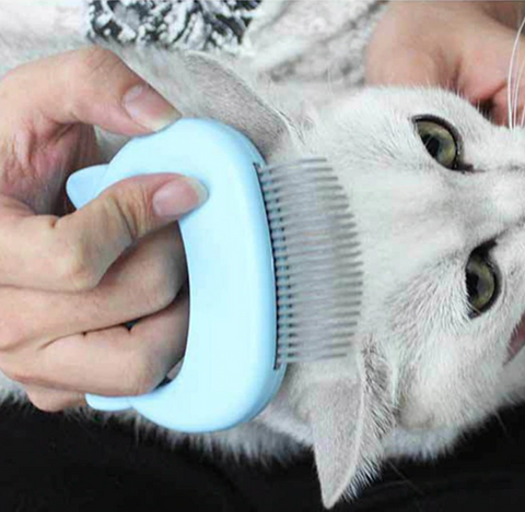 brosse ramasse poils pour chat