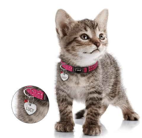 collier chat personnalisé avec médaille