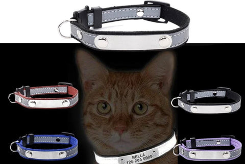 collier chat réfléchissant et personnalisé