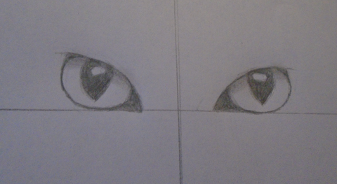 yeux du chat dessin