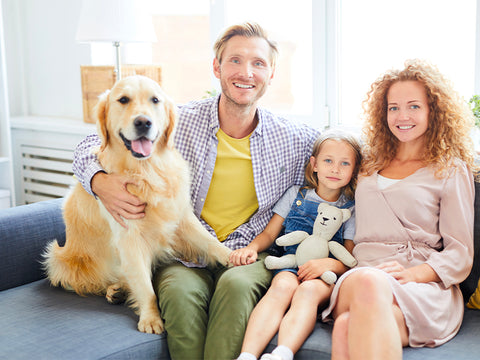 famille avec labarador