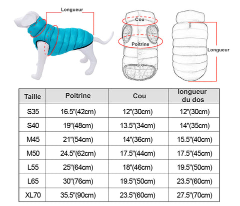 guide taille gilet chien