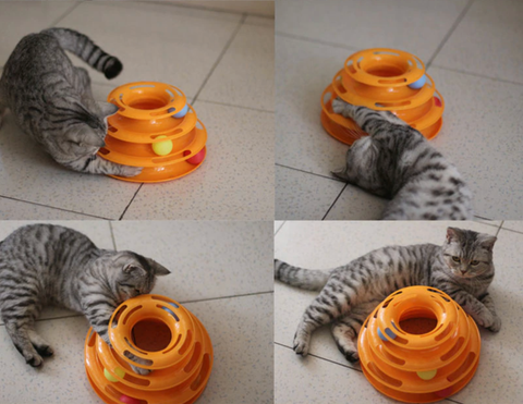 spirale jouet interactif pour chat