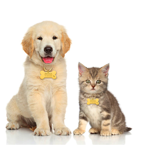 médaille pour chiens et chats