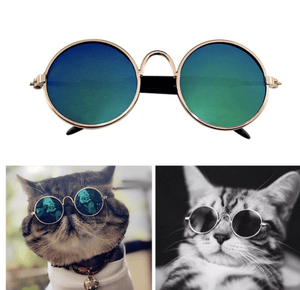 Lunettes De Soleil Pour Chats Chiens Chats Boutique