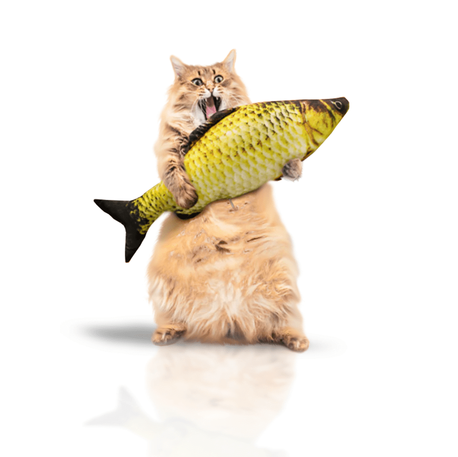 Poisson Cataire Pour Chat Chiens Chats Boutique