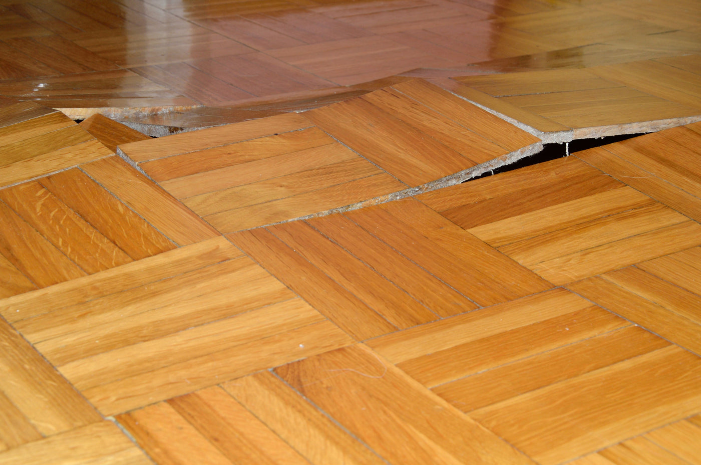 How To Fix A Buckled Wood Floor