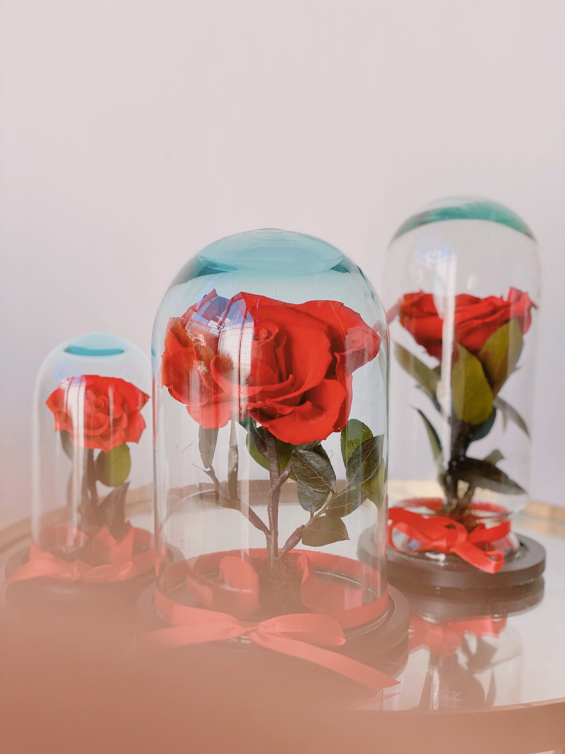 Rosa Eterna Grande – Cuarto de rosas