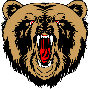 Bear Mascot Design