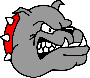 Bulldog Mascot Design