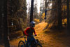 Wiral LITE and mountain biker in the forest