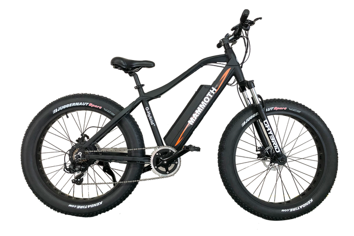 mammoth fat bike