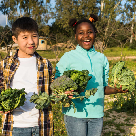 kids holding fresh green vegetables from garden