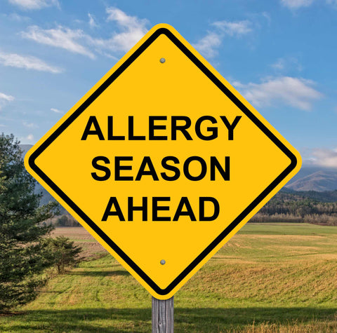 allergy season ahead road sign