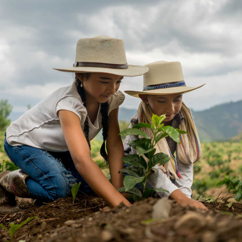 kids planting small plants