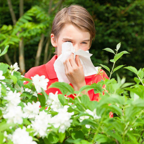 kid blowing nose next to pollinating flowers