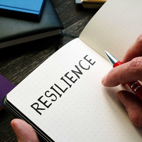 Resilience note