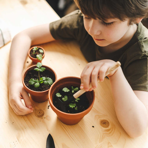 child tending to small seedlings in pots