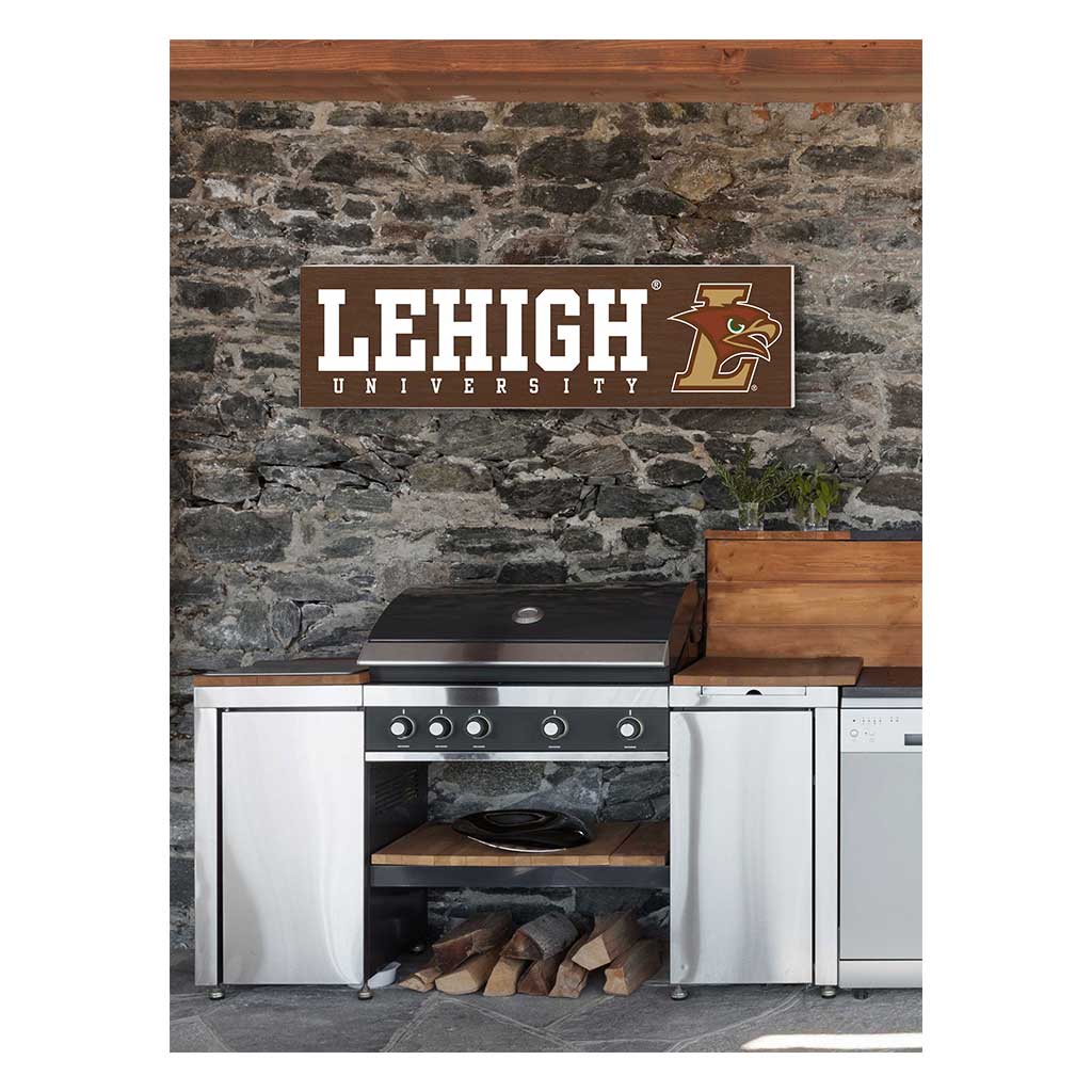 35x10 Indoor Outdoor Sign Colored Logo Lehigh Mountain Hawks