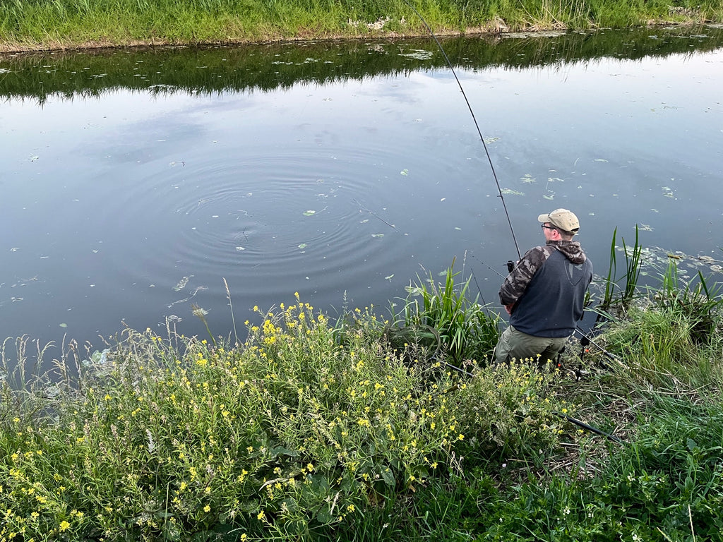 Jouer à une brème de marais au début de la saison de pêche