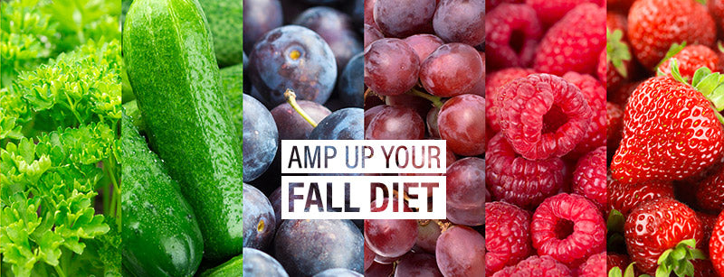 The Phy Life- Amp up your fall diet