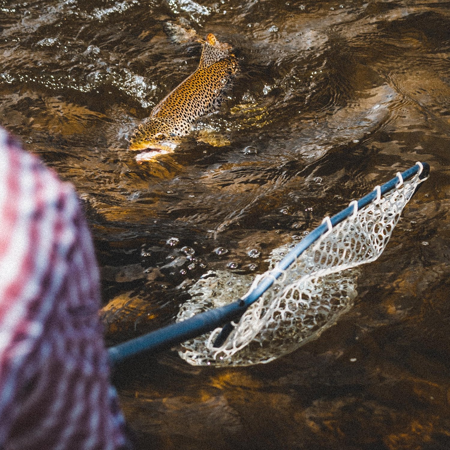Landing Nets for Fly Fishing; Trout Approved!