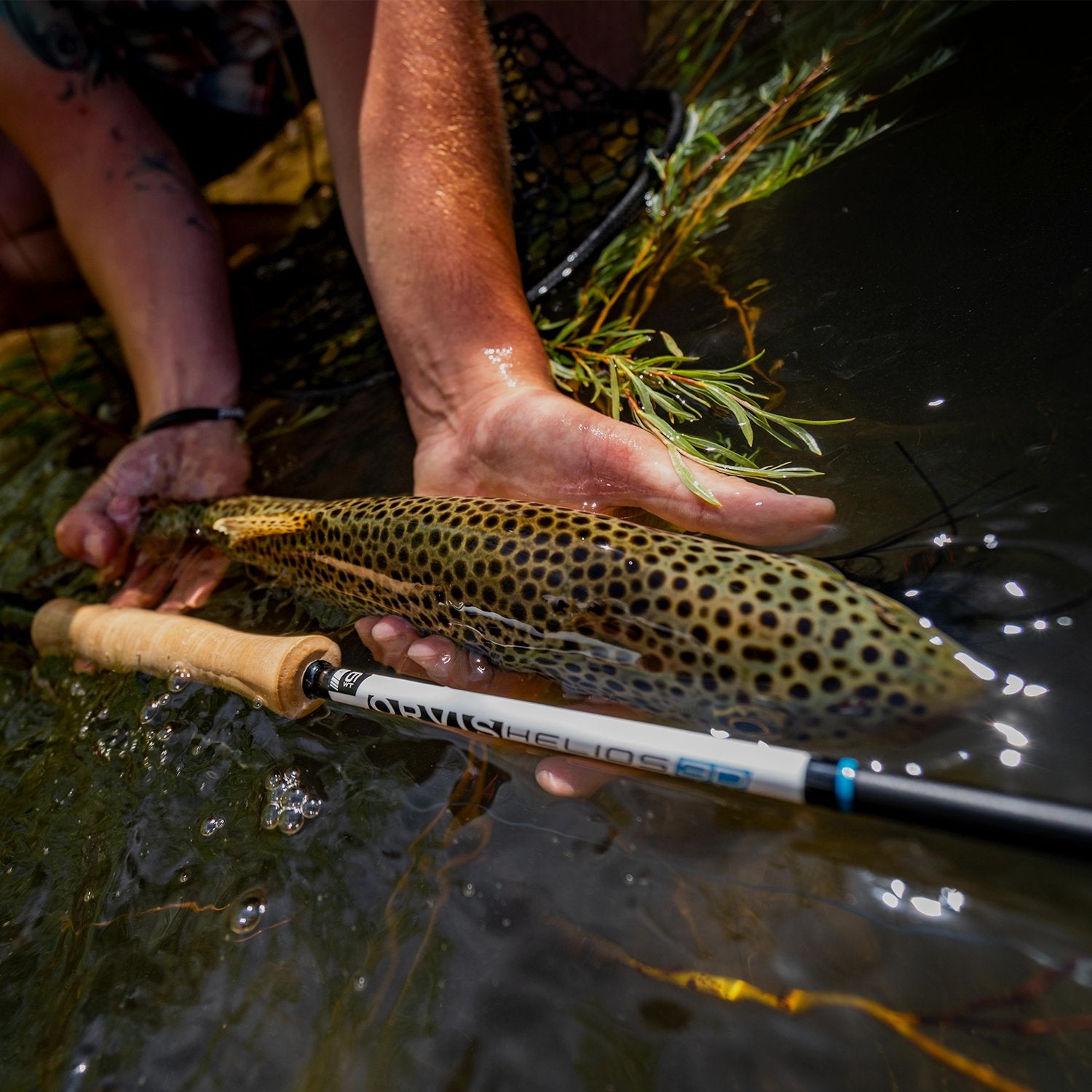 Trout Fly Rods - Trouts Fly Fishing