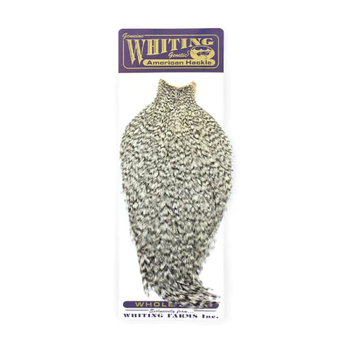 Whiting American Rooster Cape- Grizzly/Red