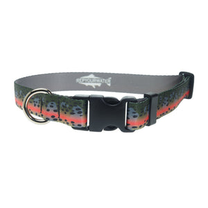 Rep Your Water Rainbow Trout Dog Collar