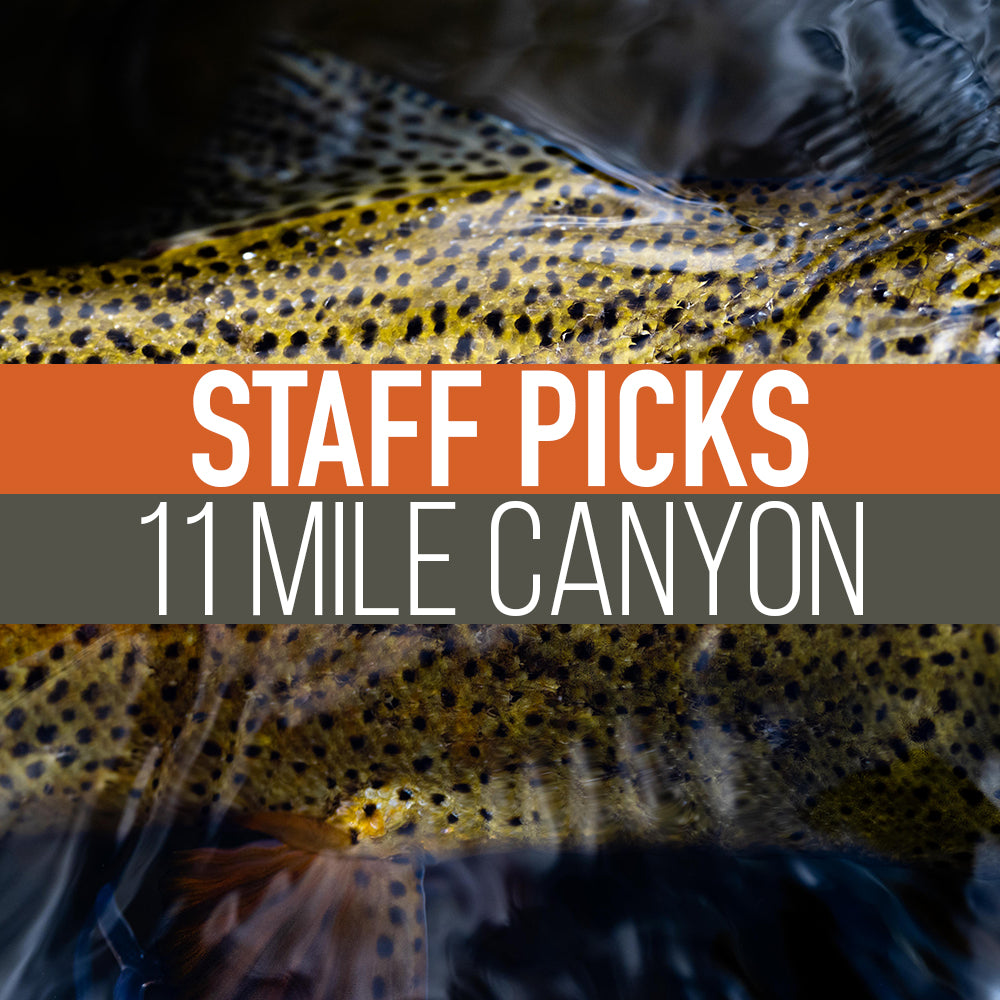 Staff Picked Trout Flies - 11 Mile Canyon