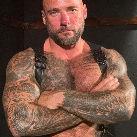 older bald gay porn stars