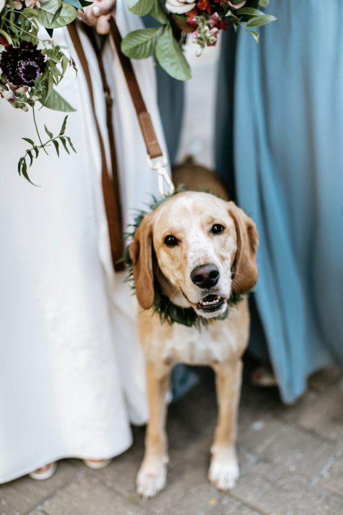 dog in your wedding